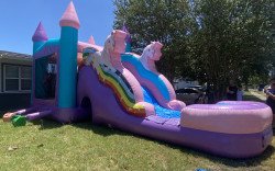 IMG 2835 1690996353 Unicorn Castle with Slide (Wet or Dry)