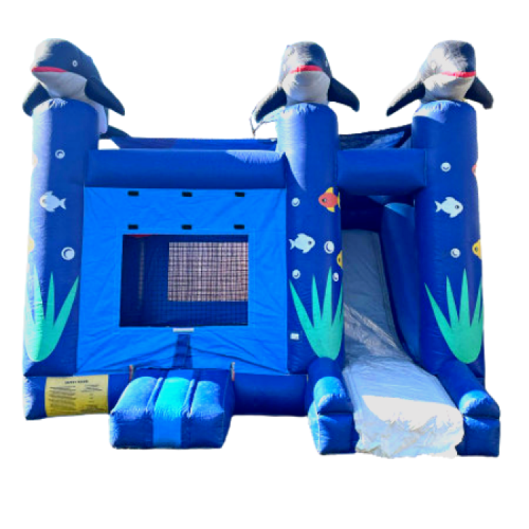 Bounce Houses - backyardbouncerandpartyrentals Corpus Christi TX