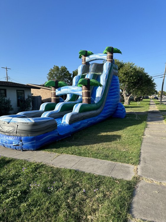 22 Ft Palm Tree Slide